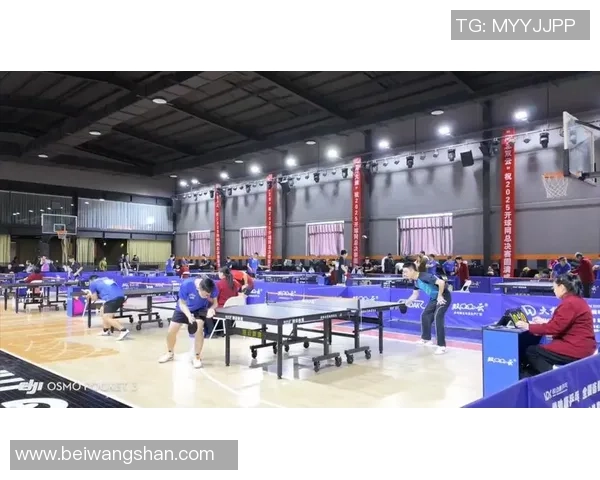 成都乒乓球队战术创新引领潮流助力乒乓球竞技水平提升